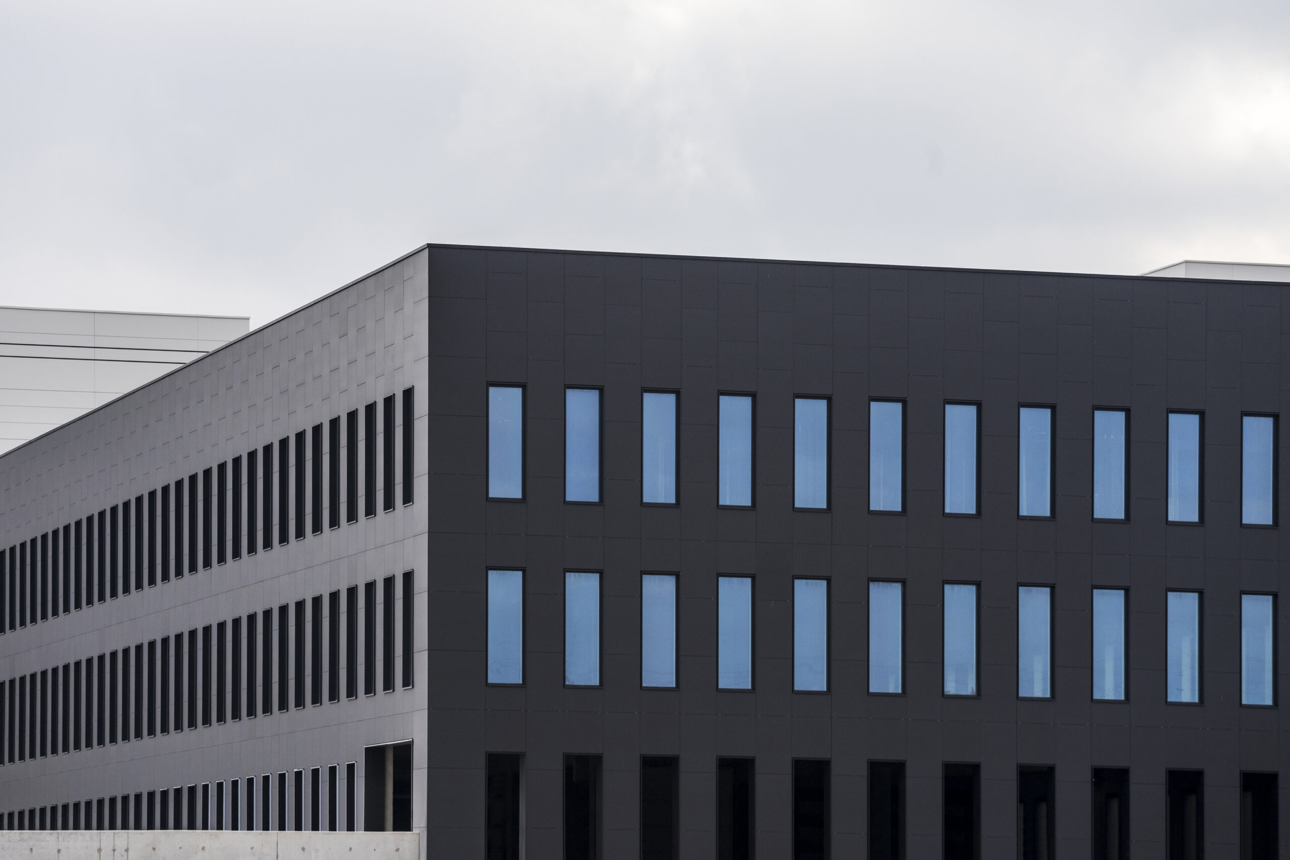 Neolith Colorfeel Satin NERO - obrazek 6